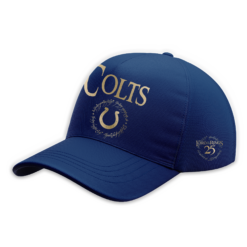 Alternative view of Indianapolis Football The Lord of The Rings Limited Edition Hoodie H115 v2