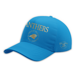 Alternative view of Carolina Football The Lord of The Rings Limited Edition Tshirt v2